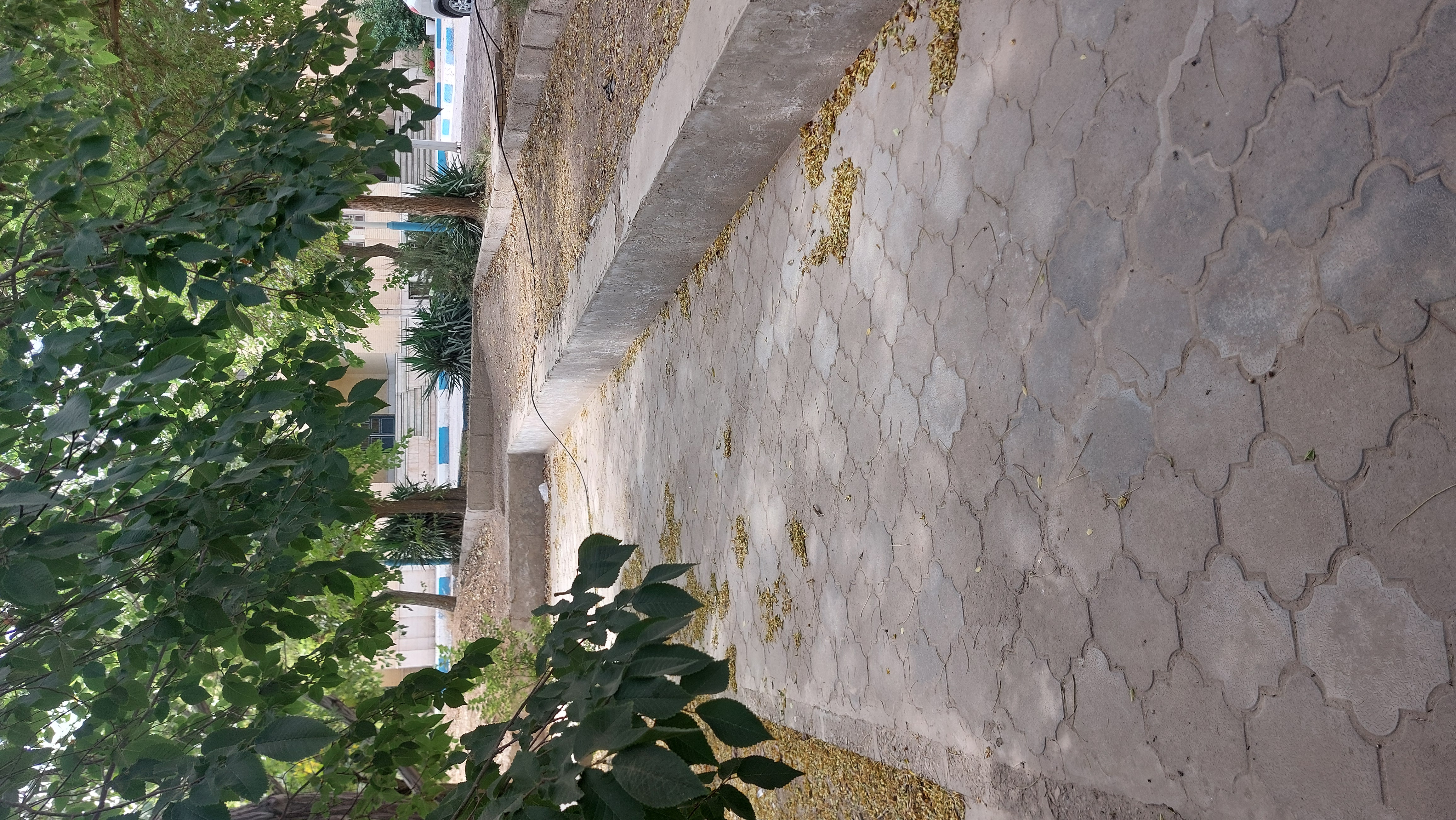 A photo from a sunny day